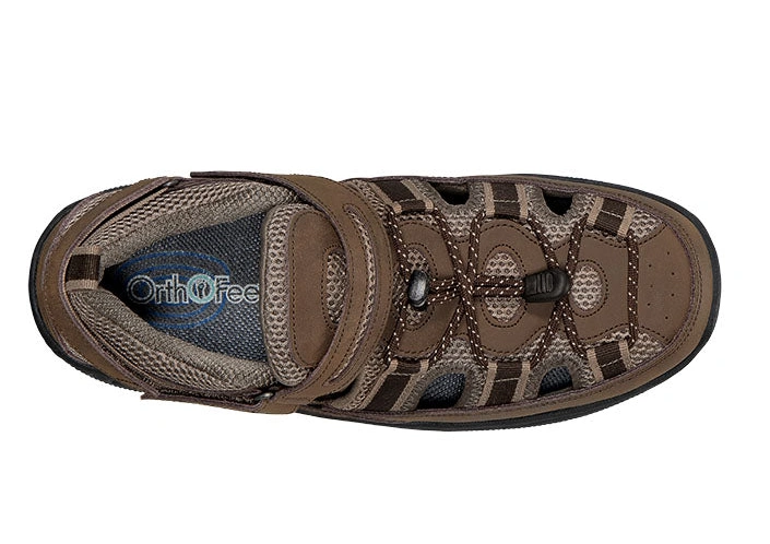 Discounted online shopping Clearwater Brown 0609